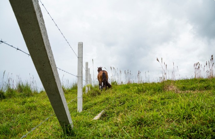 -land-boundary-and-encroachment-ono-aburi-blog